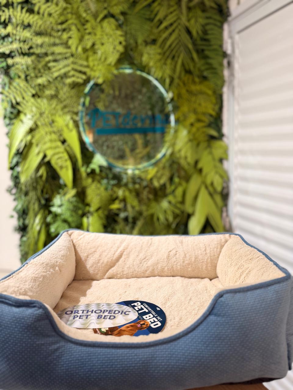 Cama Ortopédica Azul – Suporte e Conforto